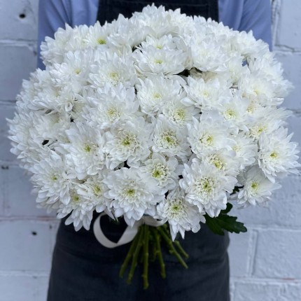 Белая кустовая хризантема - купить с доставкой в по Андреевскому