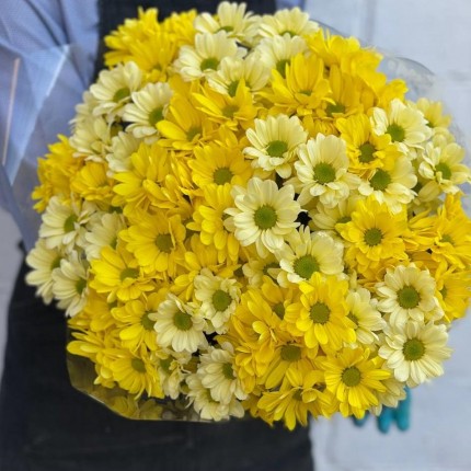 желтая кустовая хризантема - купить с доставкой в по Андреевскому